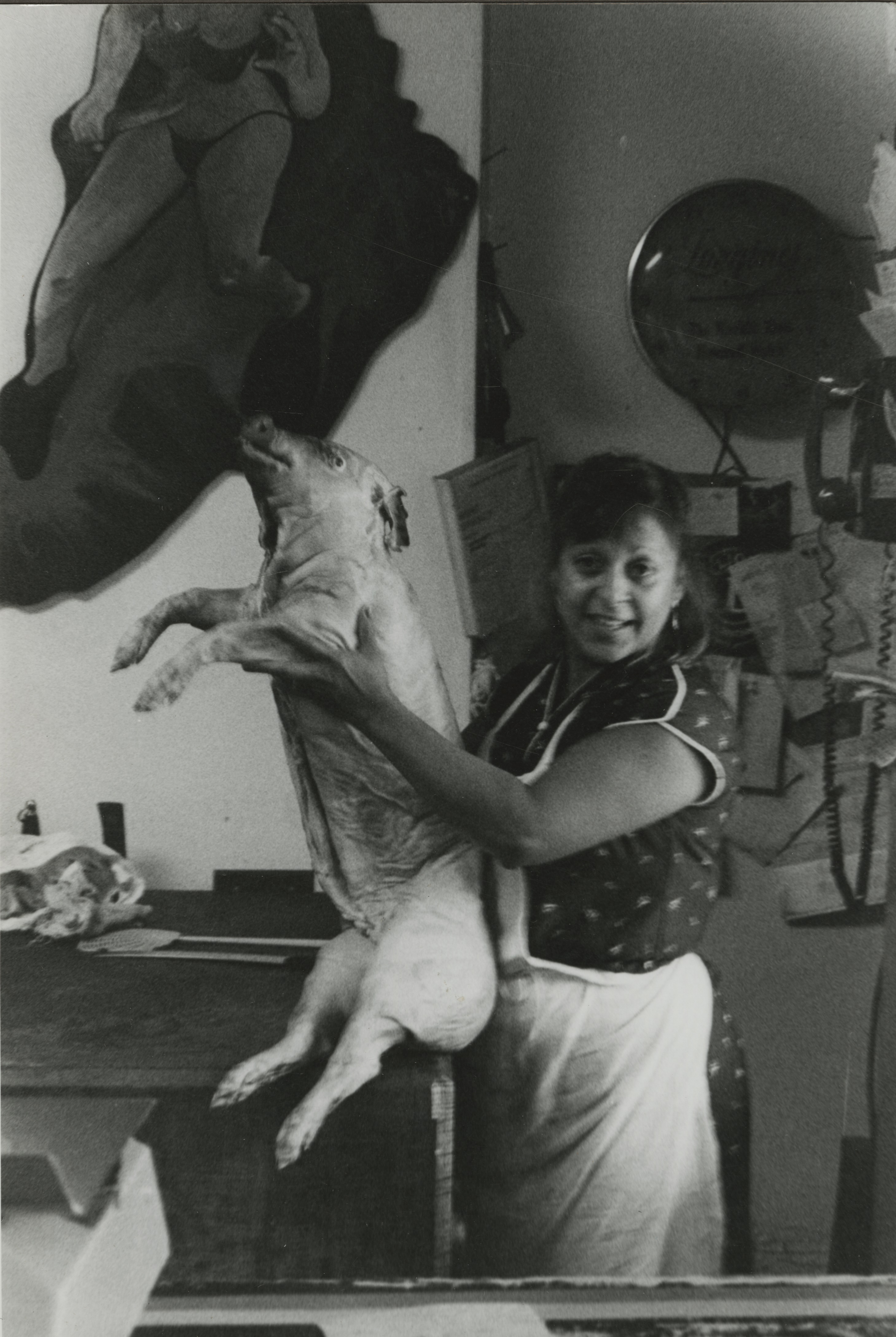 Puerto Rican woman holds up a pig for roasting, a holiday tradition