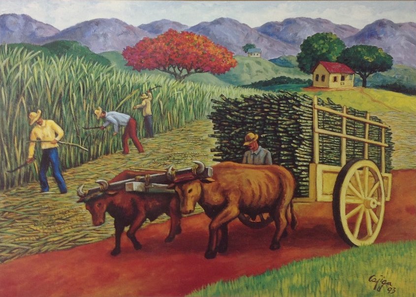 Man guiding ox-driven cart through field